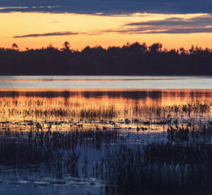 A golden sunset over a peaceful lake in Oak Ridges, reflecting warm hues in the sky and water.